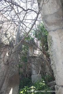 stellana-30-07-2015 22-41-16